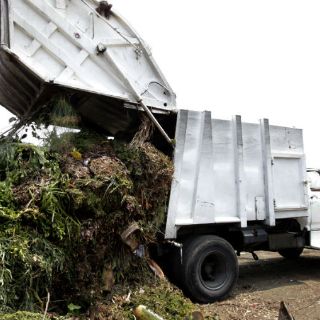 Zapopan recolecta hasta 45 mil metros cúbicos de residuos forestales