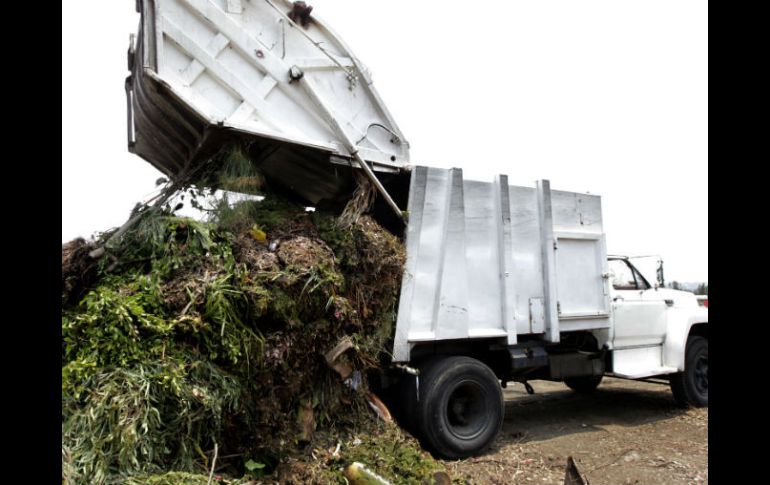 Invitan a la población a dejar los desechos de jardín en el centro de acopio de el vivero El Guamúchil, en colonia Santa Margarita.  /