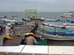 Pescadores de Veracruz, Boca del Río, Alvarado y Los Tuxtlas son afectados por la disminución de especies. ARCHIVO /
