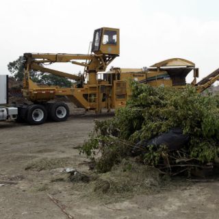 No hay quien se lleve la basura orgánica, afirman