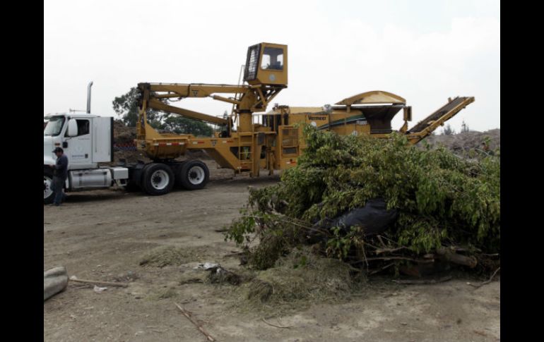 Las autoridades de Zapopan aseguran que sí existe un servicio para que se lleven los residuos a domicilio.  /