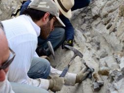 Aseguran que a pesar del clima seco, la intensidad de lluvias habría permitido la existencia de vida humana en el desierto. ARCHIVO /