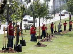 Los asistentes manifiestan la situación ambiental de sus municipios; los proyectos elaborados deberán traducirse en políticas públicas. ARCHIVO /