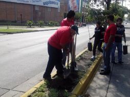 Además de “reverdecer la ciudad”, la campaña pretende abatir el déficit de tres personas por árbol que se registran en Guadalajara.  /