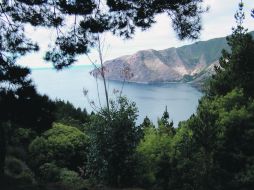 Ecoturismo. Entre árboles y agua se encuentra este bello paraje, en el que se puede combinar el descanso con la aventura. ESPECIAL /
