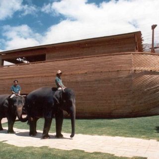 Más de dos décadas preservando especies bíblicas en zoo de Jerusalén