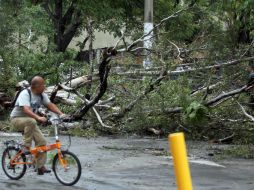 En este municipio cayeron dos árboles, pero fueron retirados de forma rápida. ARCHIVO /