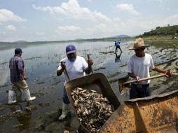 García Márquez fue castigado debido a la mala comunicación en el ecocidio ocurrido en la también conocida como presa de Valencia. ARCHIVO /