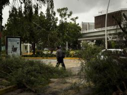 Durante y tras la tormenta, Protección Civil atendió 45 servicios de emergencia.  /