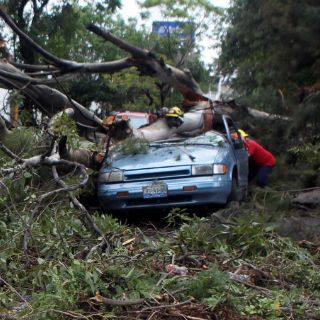 Aseguradoras, obligadas a pagar afectaciones por fenómenos naturales