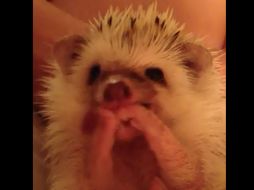 El video acumula poco más de 81 mil reproducciones. ARCHIVO /