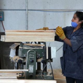 Muebleros piden apoyo del gobierno