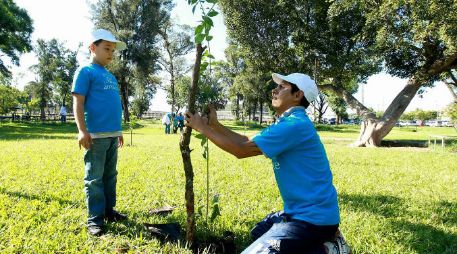 El Parque Montenegro, Bosque La Primavera, Parque Metropolitano, Parque Montenegro y Santuario de los Mártires han sido reforestados.  /