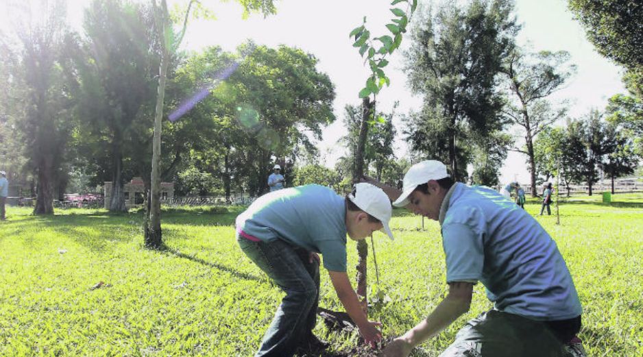 La asociación civil promovió actividades de reforestación en seis de estos espacios públicos durante los días de lluvias. EL INFORMADOR /