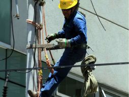 La CFE no cuenta con el personal suficiente para extraer la información requerida en tiempo breve.  /