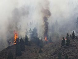 Según la CNN, una combinación de fuertes vientos y un bajo nivel de humedad ha alimentado las llamas. AP /