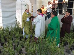 Norberto Rivera entre árboles con motivo de los 200 años de la construcción de la Catedral Metropolitana. NTX /
