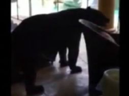 Imagen tomada del video. ESPECIAL /