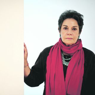 Urzúa acepta deficiencias en atención a visitantes