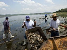 Explican que la intención de la norma es evitar problemas medio ambientales como la contaminación en la Presa Valencia. ARCHIVO /