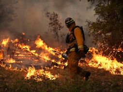 Un bombero combate el incendio Rim en Califonia. AFP /