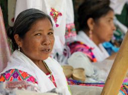 Se estima que por lo menos existen 62 grupos étnicos radicando en Estados Unidos. ARCHIVO /