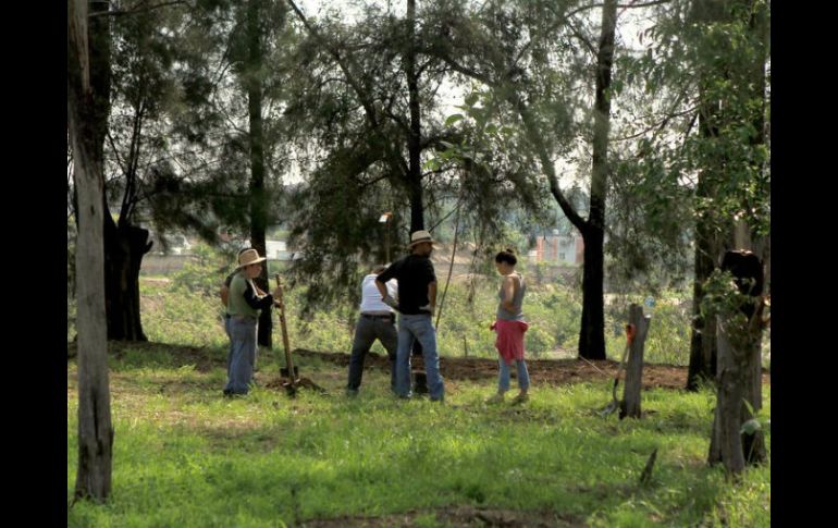 La restauración se hizo con la finalidad de hacer del Bosque un lugar de reunión para la ciudadanía. ARCHIVO /