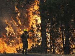 El incendio sin control ha consumido unas 60 mil hectáreas de terrenos forestales, casi tres mil bomberos lo combaten. AP /