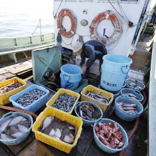 Japón intensificará labores de descontaminación alrededor de Fukushima