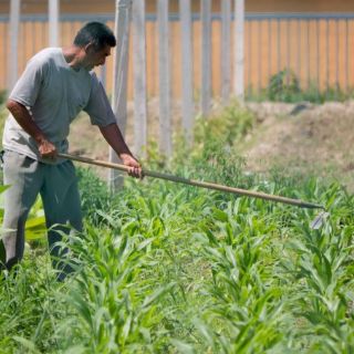Resaltan ejes para el desarrollo del campo jalisciense