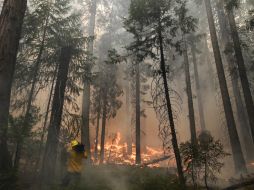 Incendio en California consume 72 mil hectáreas. Más de tres mil 700 bomberos lo combaten. AP /