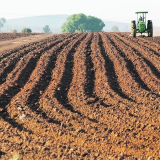 México se encuentra en riesgo de importar 80% de sus alimentos