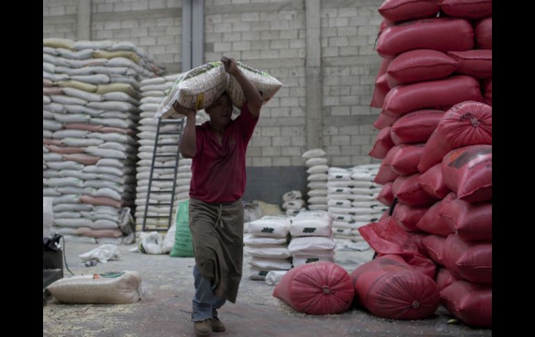 El TLC dinamizará y facilitará el intercambio comercial. EFE /