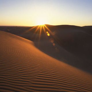 Planean zona ecológica en el desierto de Altar en Sonora