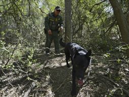 La Patrulla Fronteriza realiza operativos para detectar a migrantes con el uso de perros. ARCHIVO /