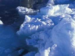 Logran deducir cuál era el clima del oeste de Europa hace entre 80 mil y 70 mil años. ARCHIVO /