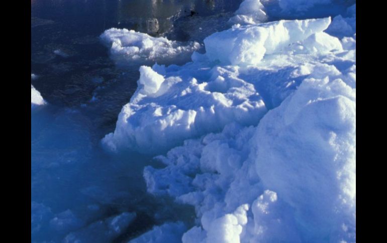 Logran deducir cuál era el clima del oeste de Europa hace entre 80 mil y 70 mil años. ARCHIVO /