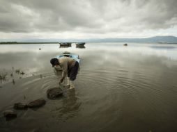 Chapala sólo ha recuperado 34 de los 145 que perdió durante el estiaje. ARCHIVO /