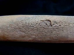 Los restos analizados datan de 400 años, revelando así los hábitos alimentarios de los habitantes de la Colonia. ESPECIAL /