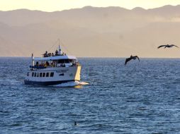 Destacan que el proyecto ha demostrado su efectividad para salvar vidas y obtener información científica. ARCHIVO /