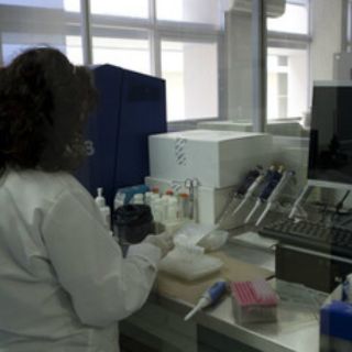 Estudio pone en duda presunción de surgimiento de nuevas especies