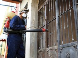 Participan 58 ayuntamientos, con vehículos de carga y 150 personas para la descacharrización en zonas prioritarias. ARCHIVO /