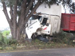 Ayer, el chofer del tráiler impactó el vehículo contra dos árboles sobre la carretera a Chapala. ARCHIVO /