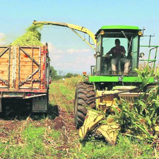 Incrementar el rendimiento de la tierra, meta para 2014