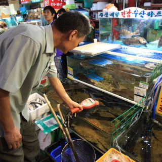 Corea del Sur veta el pescado de Fukushima