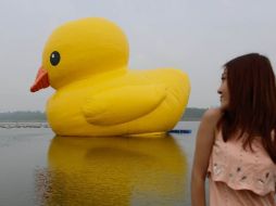 Un problema de ensamble que no le agradó al pato y tampoco a sus admiradores. AFP /