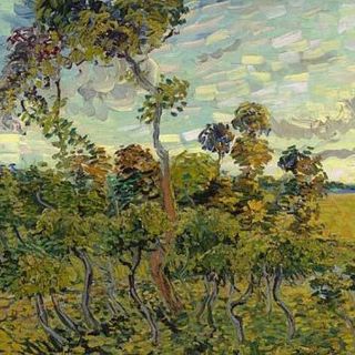 Museo identifica obra perdida de Van Gogh