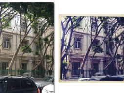 Gracias a la aplicación, miles de personas comparten sus fotografías a través de iPhone, Android y seguirá Facebook. ARCHIVO /