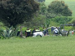 Aún quedan 11 cuerpos que serán sometidos a un segundo peritaje luego de haber sido encontrados en una fosa clandestina. ARCHIVO /