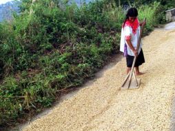 Varios poblados se verían afectados con la realización del tramo carretero. ARCHIVO /